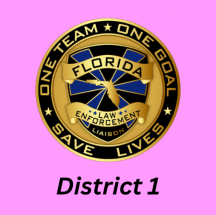 LEL Logo with District 1 ID with text